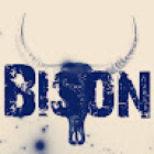 Bizon
